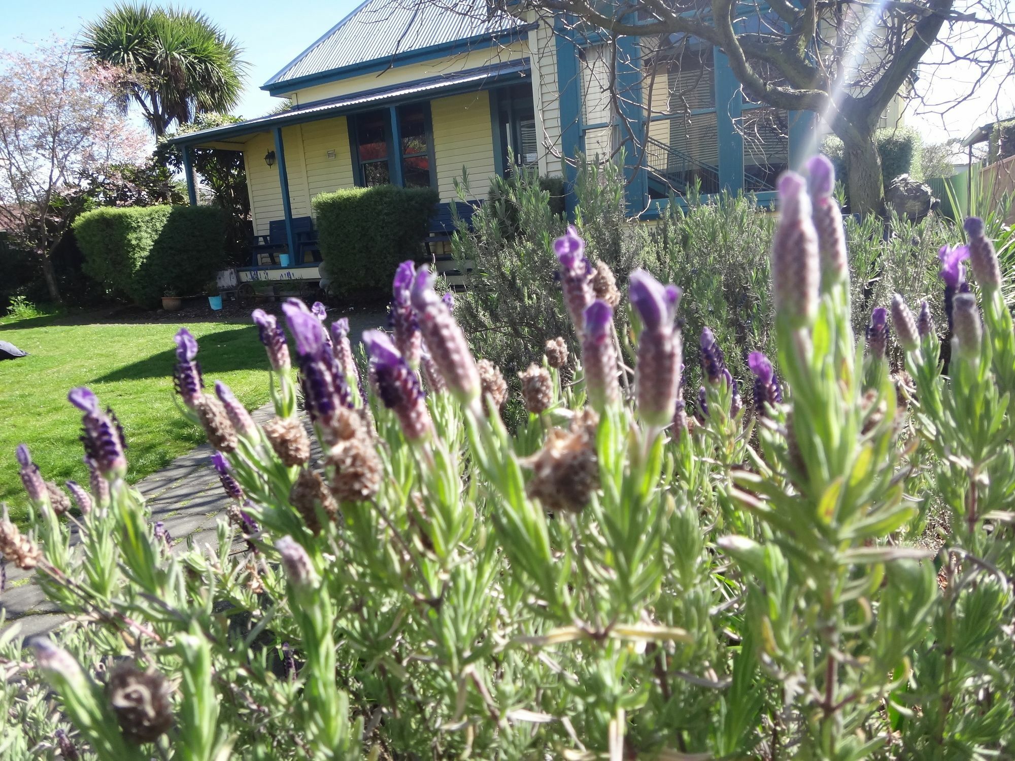 The Old Countryhouse Christchurch Dış mekan fotoğraf